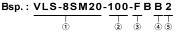 Bsp.: VLS-8SM20-100-FBB2