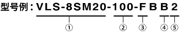 型号例 : VLS-8SM20-100-FBB2